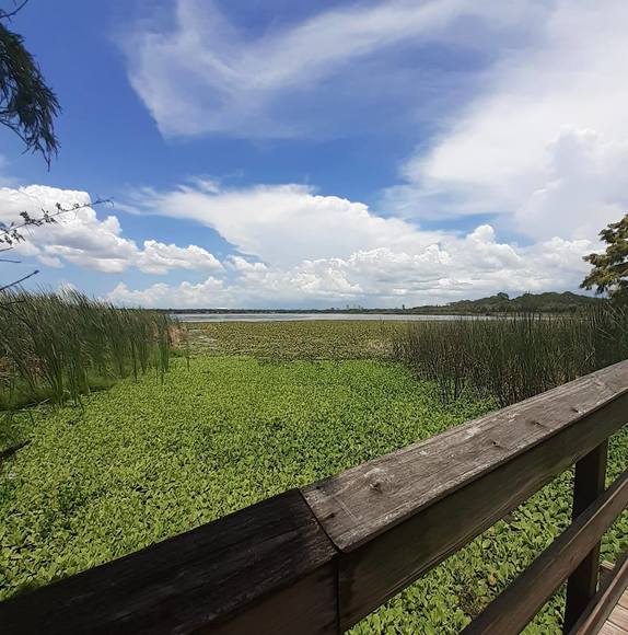 Meet your Posher, Sherri - Picture 1 of 1